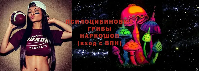 Псилоцибиновые грибы Psilocybine cubensis  Полярный 